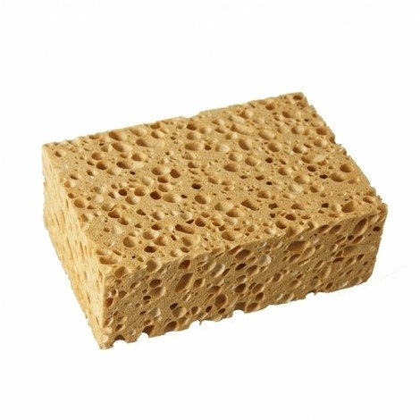 EPONGE VEGETALE