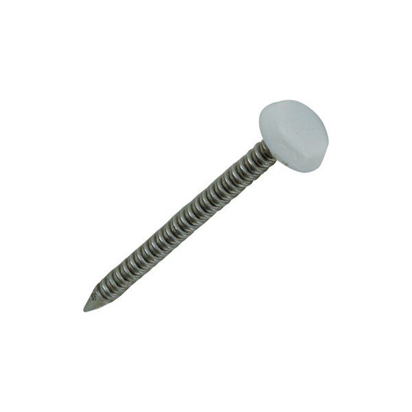 CLOU INOX