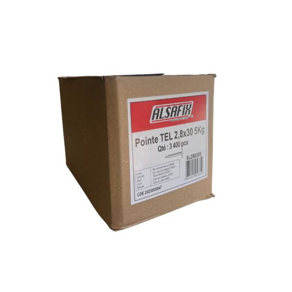 POINTE GALVA 2.8X30